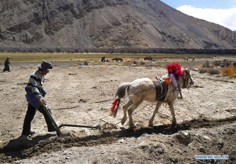 (InTibet) CHINA-TIBET-DAILY LIFE (CN)