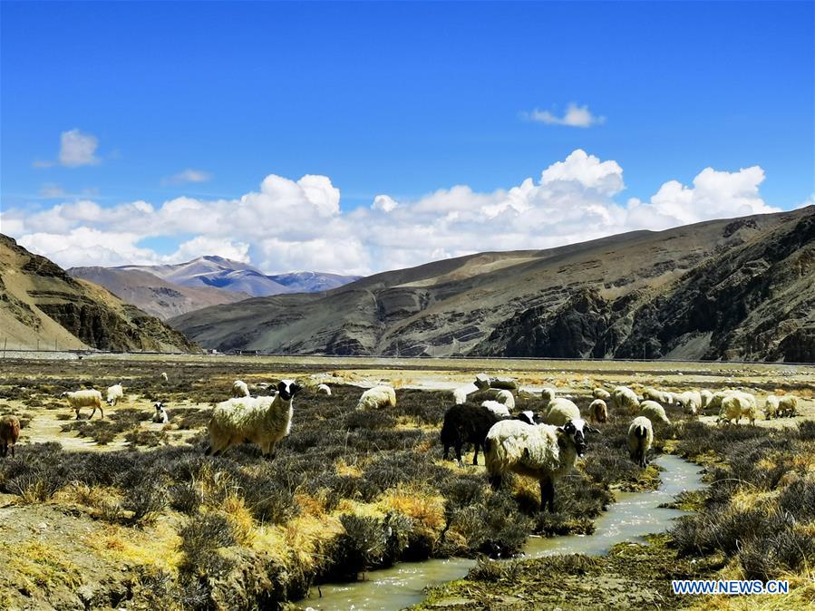 (InTibet)CHINA-TIBET-MOUNT QOMOLANGMA NATIONAL NATURE RESERVE-SCENERY (CN)