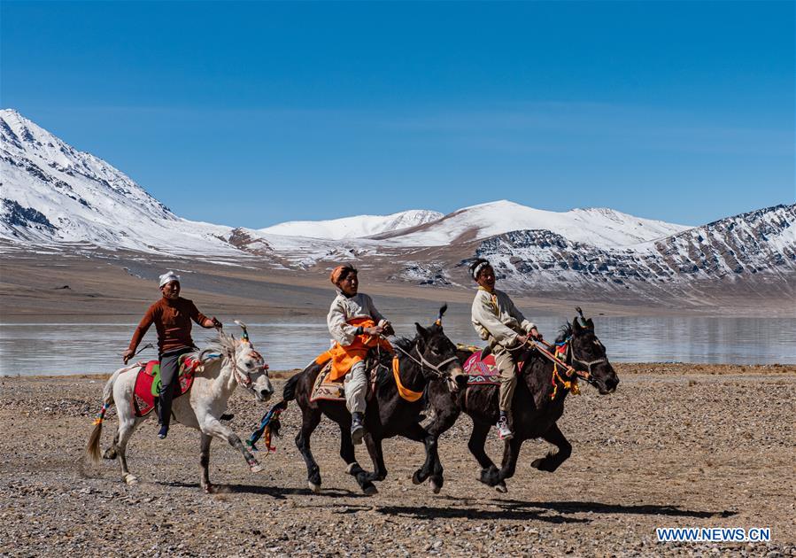 CHINA-TIBET-SPRING PLOUGHING (CN)