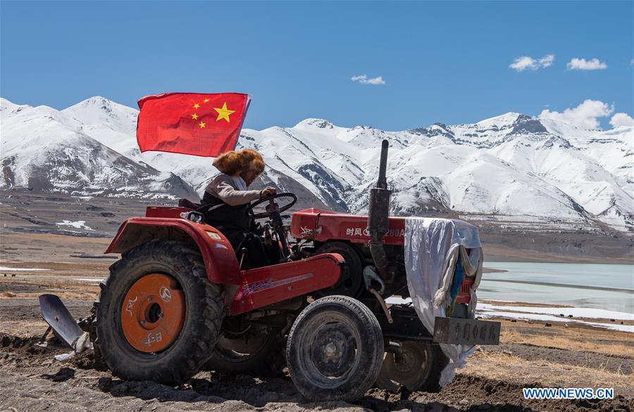 CHINA-TIBET-SPRING PLOUGHING (CN)