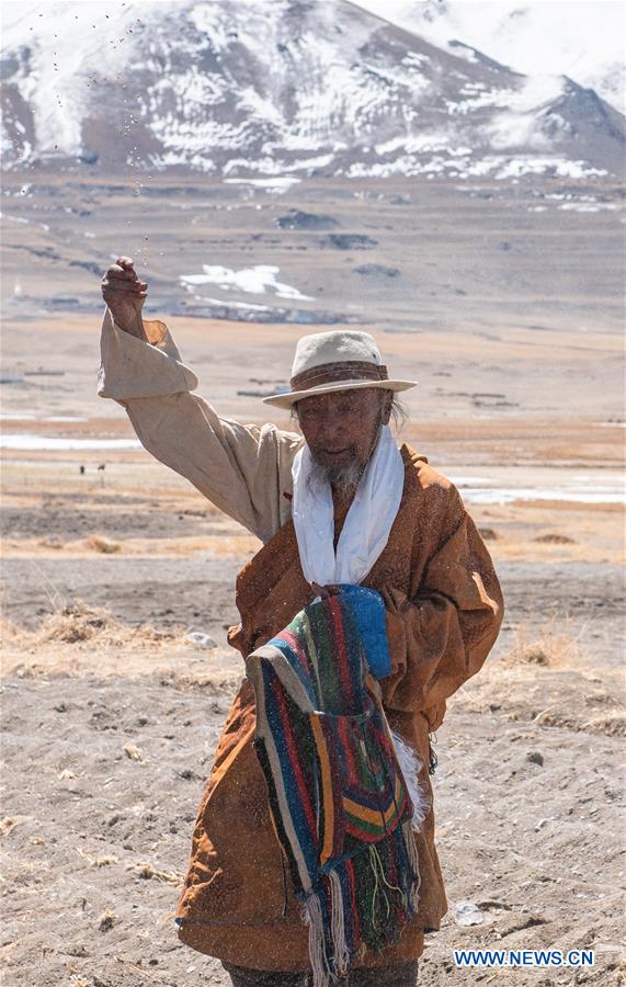 CHINA-TIBET-SPRING PLOUGHING (CN)