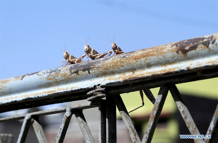 XINHUA PHOTOS OF THE DAY