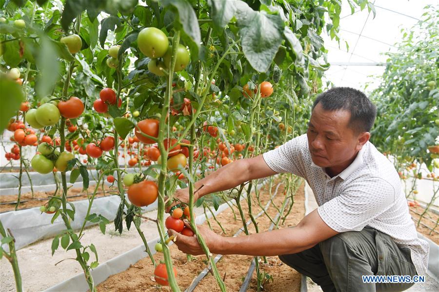 CHINA-GUANGXI-HUANJIANG-RURAL COLLECTIVE ECONOMY-DEVELOPMENT (CN)