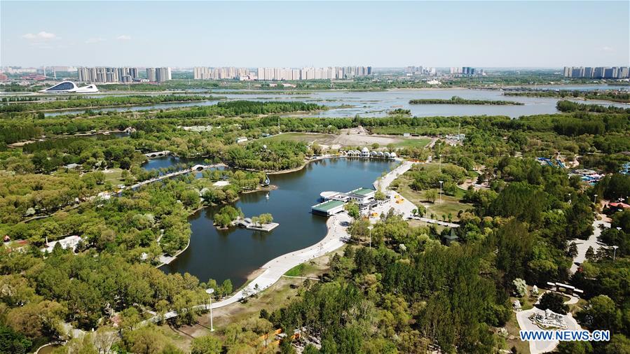 CHINA-HEILONGJIANG-HARBIN-WETLAND-AERIAL VIEWS (CN)