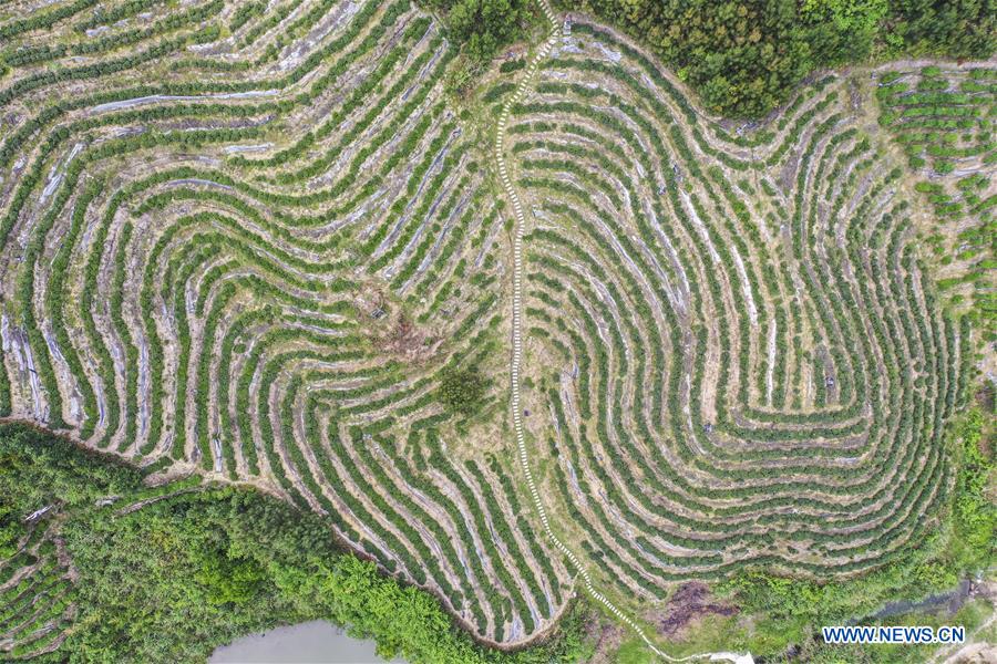 CHINA-GUANGXI-NANDAN-AERIAL VIEW (CN)