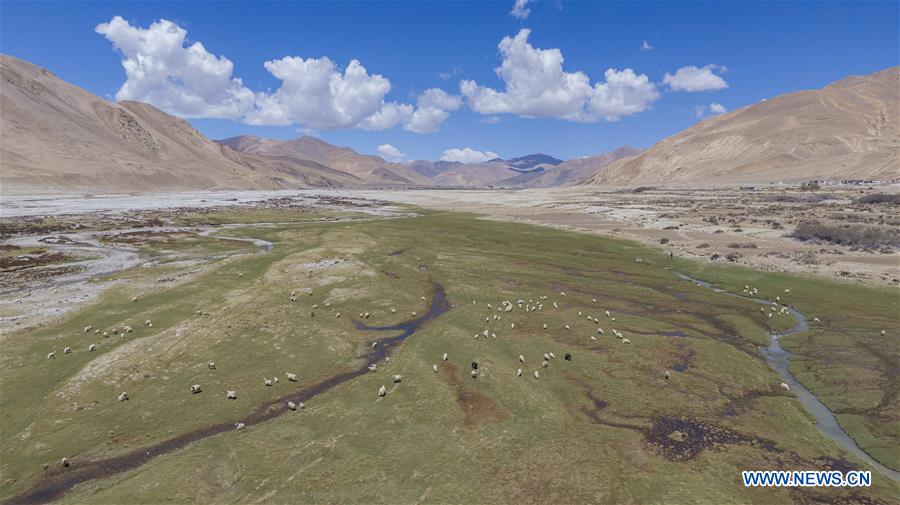 (InTibet)CHINA-TIBET-MOUNT QOMOLANGMA-BIODIVERSITY (CN)