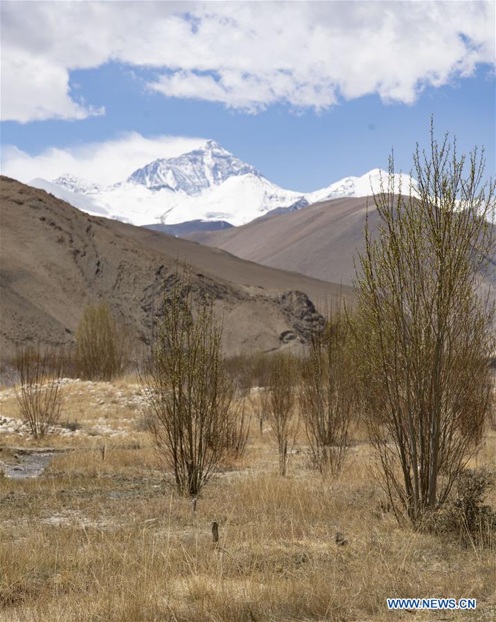 (InTibet)CHINA-TIBET-MOUNT QOMOLANGMA-BIODIVERSITY (CN)