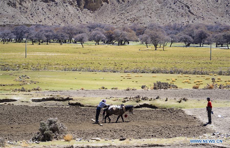 (InTibet)CHINA-TIBET-MOUNT QOMOLANGMA-BIODIVERSITY (CN)