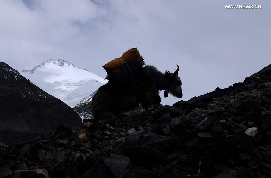 XINHUA PHOTOS OF THE DAY