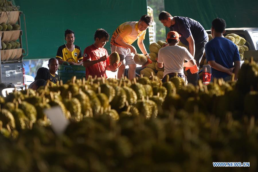 THAILAND-CHANTHABURI-DURIANS-HARVEST