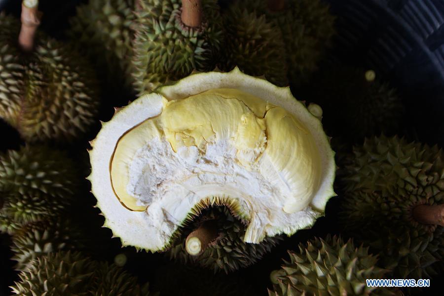 THAILAND-CHANTHABURI-DURIANS-HARVEST