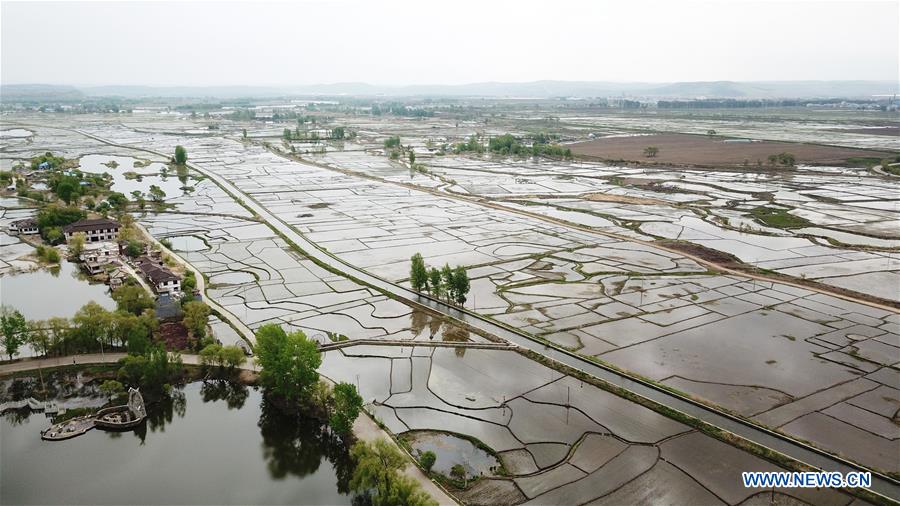 CHINA-HEILONGJIANG-NING'AN-RICE-FARMING (CN)