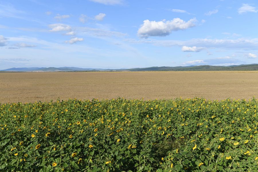 Soil Doctor Lawmaker Guards Against Farmland Degradation In China Xinhua English News Cn