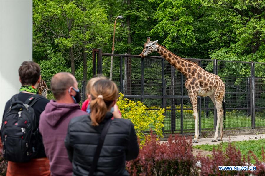 POLAND-WARSAW-ZOO-COVID-19-REOPENED