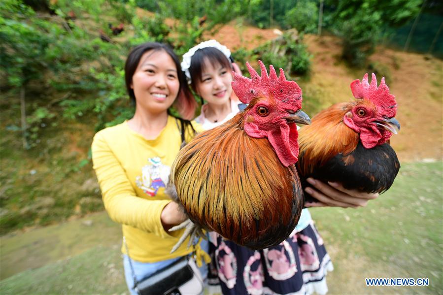 XINHUA PHOTOS OF THE DAY