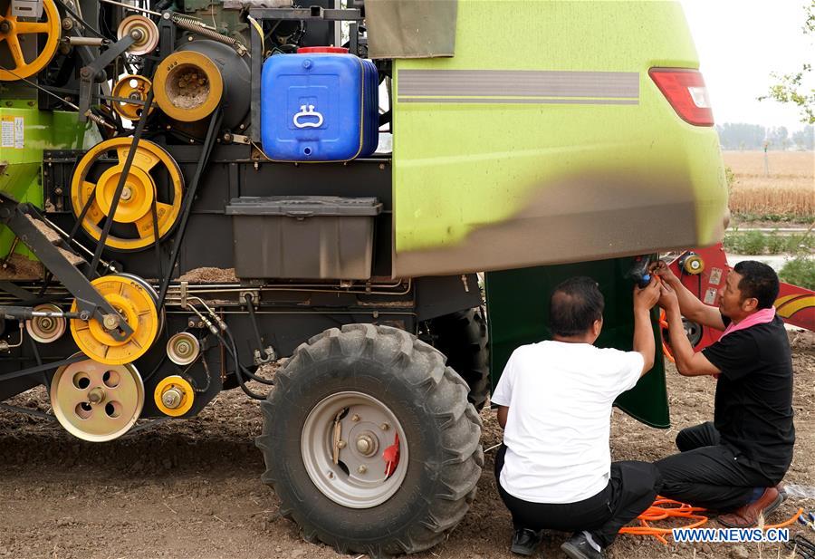 CHINA-HENAN-ZHOUKOU-WHEAT HARVESTER (CN)