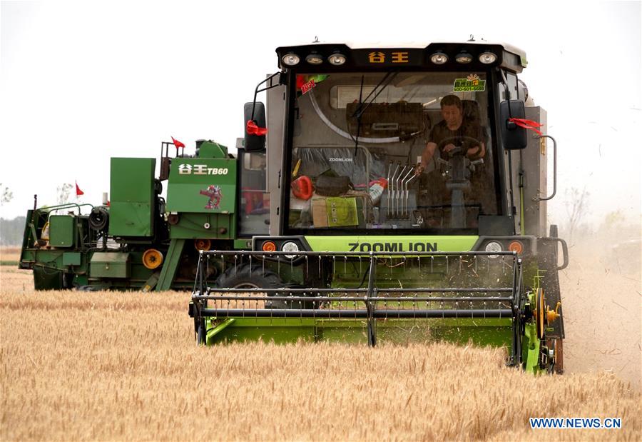 CHINA-HENAN-ZHOUKOU-WHEAT HARVESTER (CN)