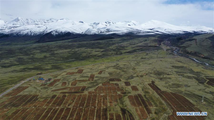 CHINA-SICHUAN-LITANG-PLATEAU SCENERY (CN)