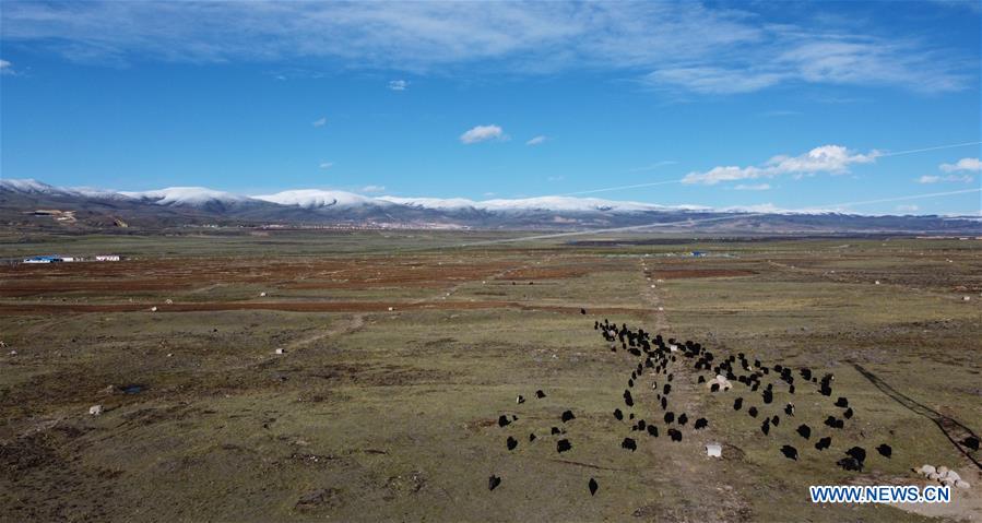 CHINA-SICHUAN-LITANG-PLATEAU SCENERY (CN)