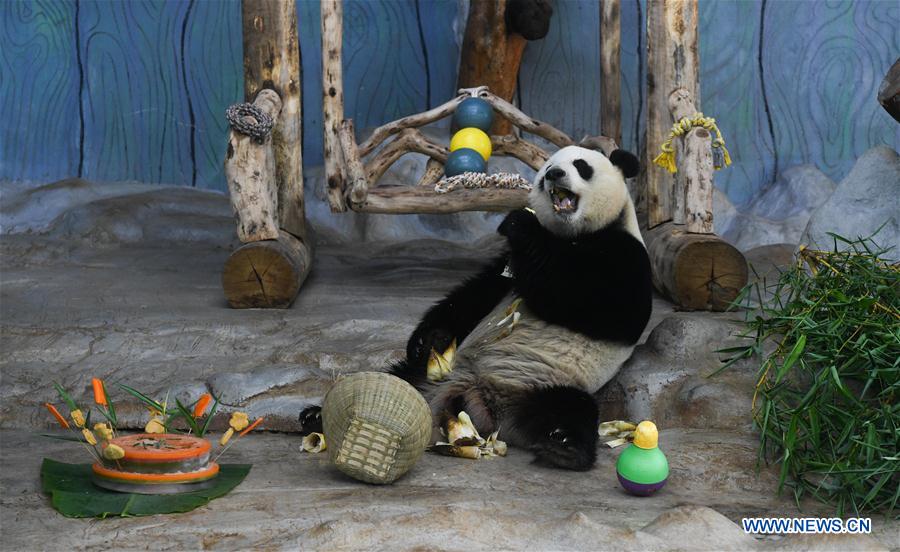 CHINA-HAINAN-HAIKOU-GIANT PANDAS-CHILDREN'S DAY (CN)