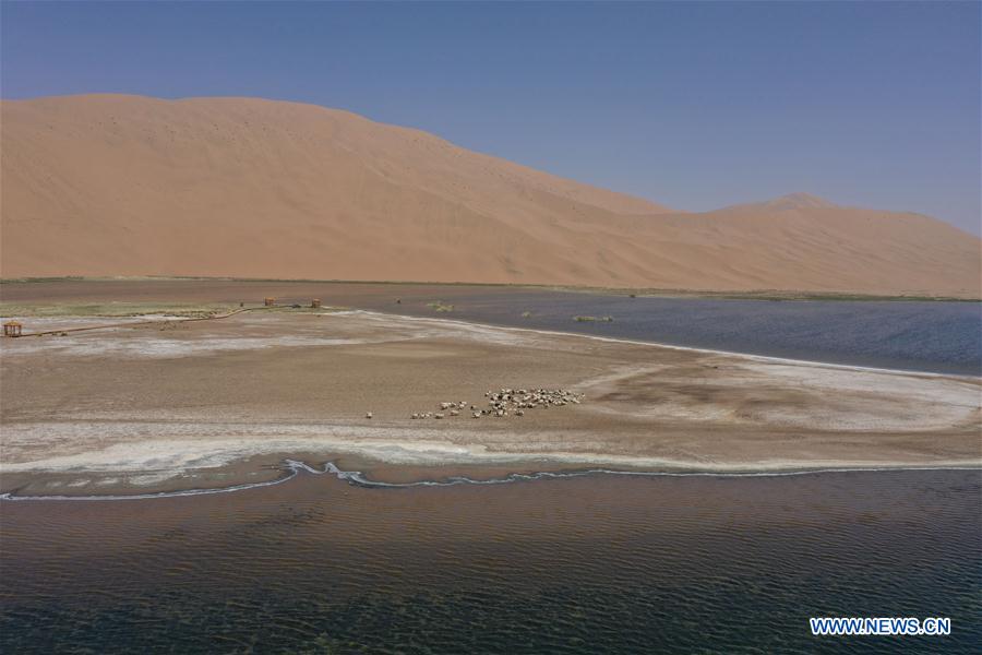 CHINA-INNER MONGOLIA-DESERT-LAKE VIEW (CN)