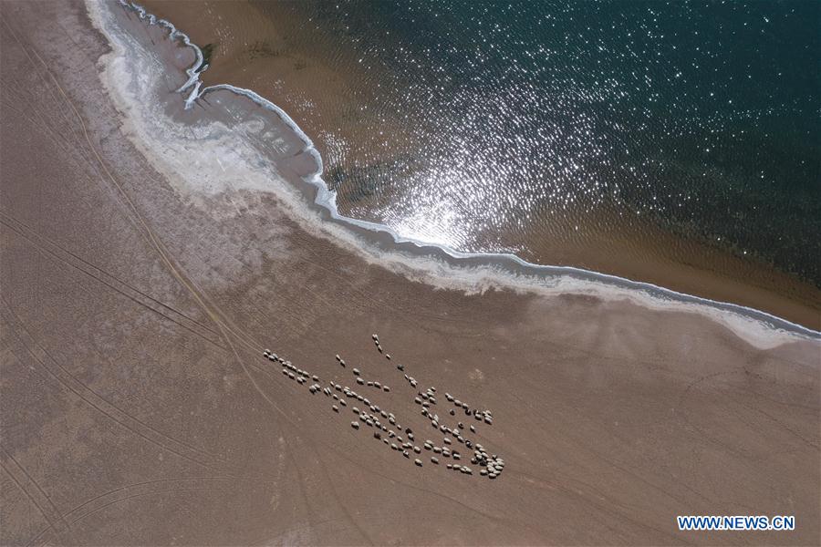 CHINA-INNER MONGOLIA-DESERT-LAKE VIEW (CN)