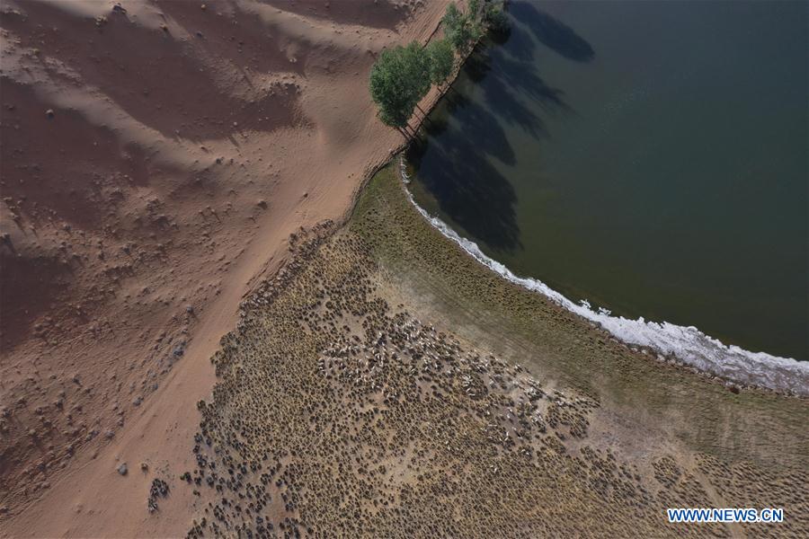 CHINA-INNER MONGOLIA-DESERT-LAKE VIEW (CN)