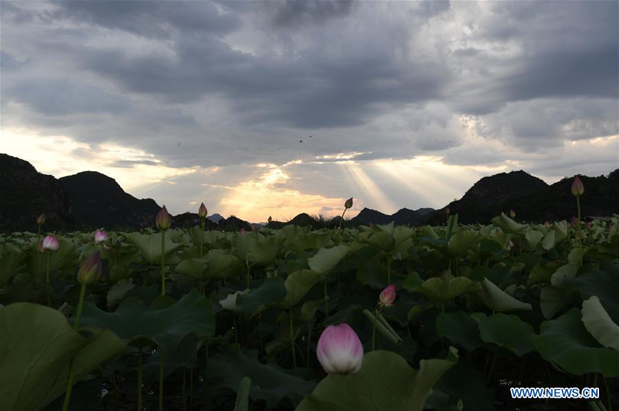 CHINA-YUNNAN-QIUBEI-PUZHEHEI-SCENERY (CN)