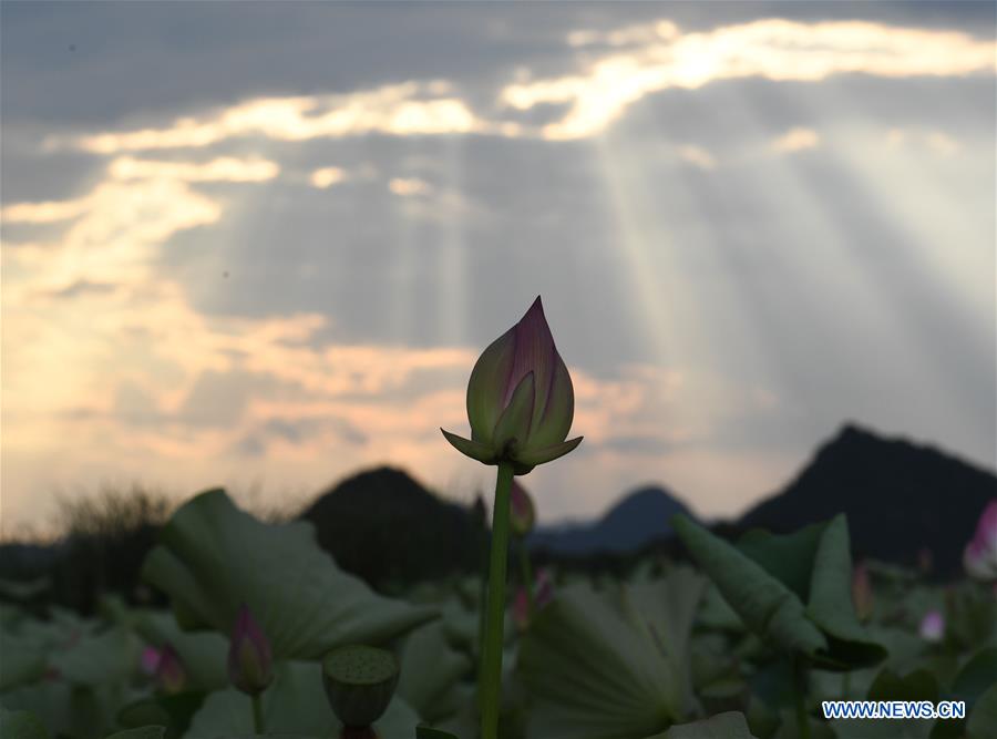 CHINA-YUNNAN-QIUBEI-PUZHEHEI-SCENERY (CN)