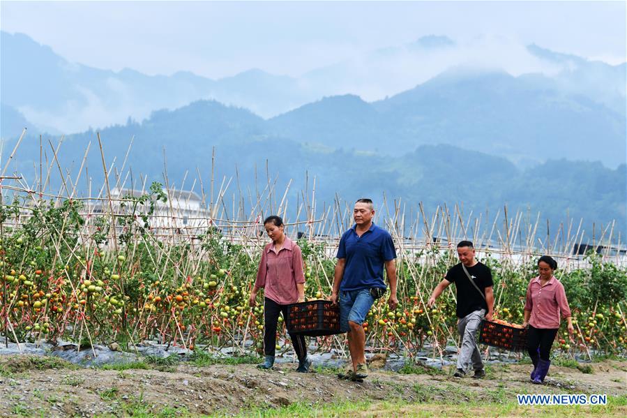 CHINA-GUIZHOU-RONGJIANG-AGRICULTURE-POVERTY ALLEVIATION (CN)