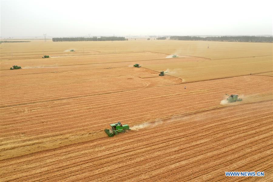 XINHUA PHOTOS OF THE DAY