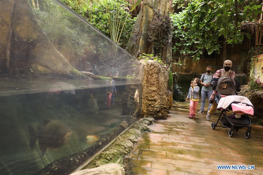 TURKEY-ISTANBUL-AQUARIUM-REOPENING