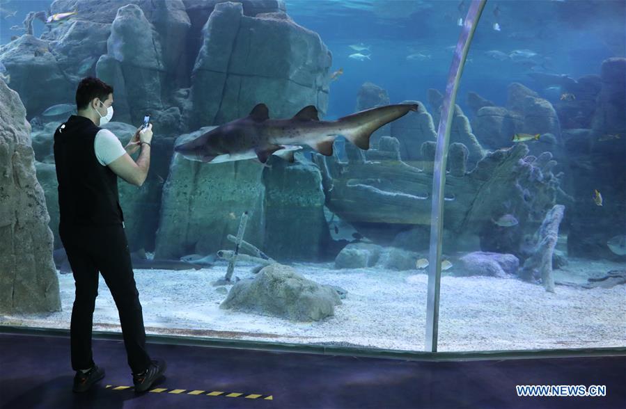 TURKEY-ISTANBUL-AQUARIUM-REOPENING