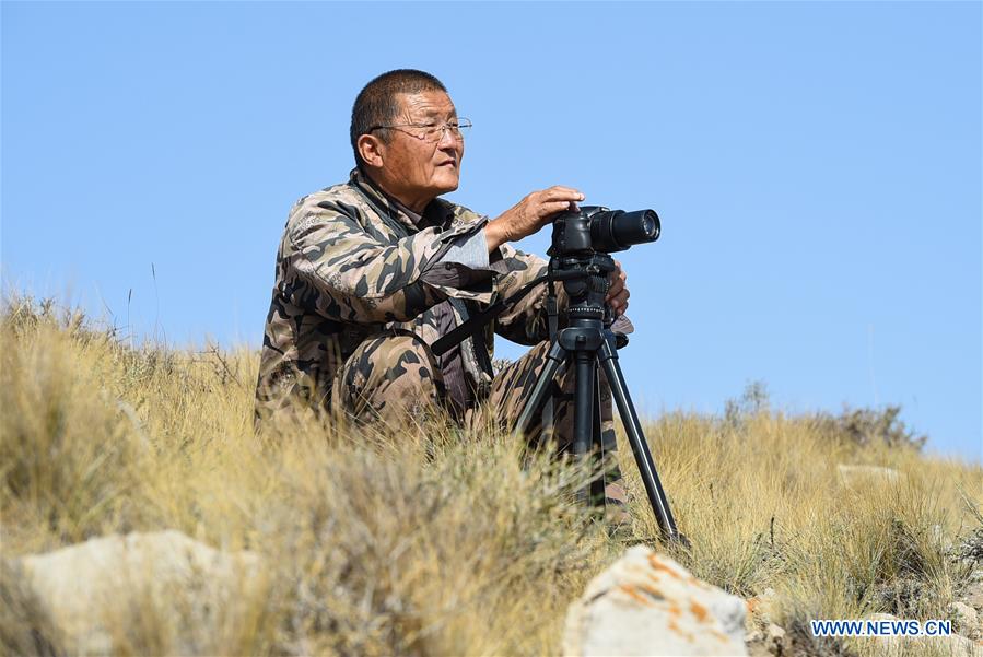 CHINA-INNER MONGOLIA-ERDOS-"FATHER OF BLUE SHEEP" (CN)