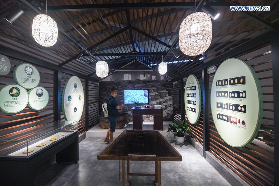 CHINA-ZHEJIANG-HANGZHOU-INTANGIBLE CULTURAL HERITAGE MUSEUM (CN)