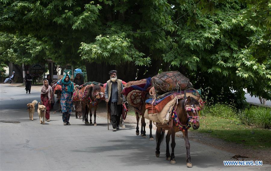 Nomadic Tribe Begins Bi-annual Seasonal Migration Towards Upper Reaches ...