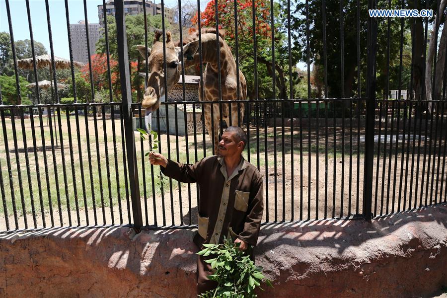 EGYPT-GIZA-COVID-19-ZOO