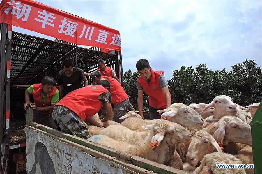 CHINA-ZHEJIANG-HUZHOU-SICHUAN-PAIRING ASSISTANCE-POVERTY ALLEVIATION-SHEEP (CN)