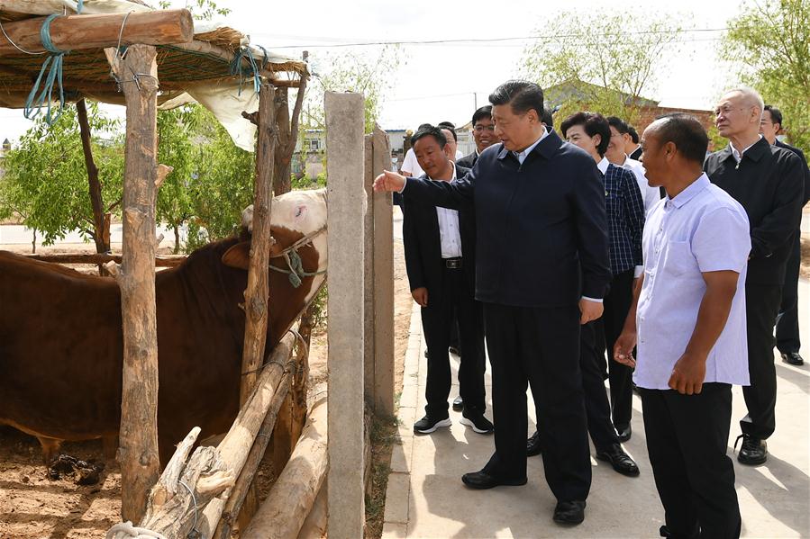 CHINA-NINGXIA-XI JINPING-INSPECTION (CN)