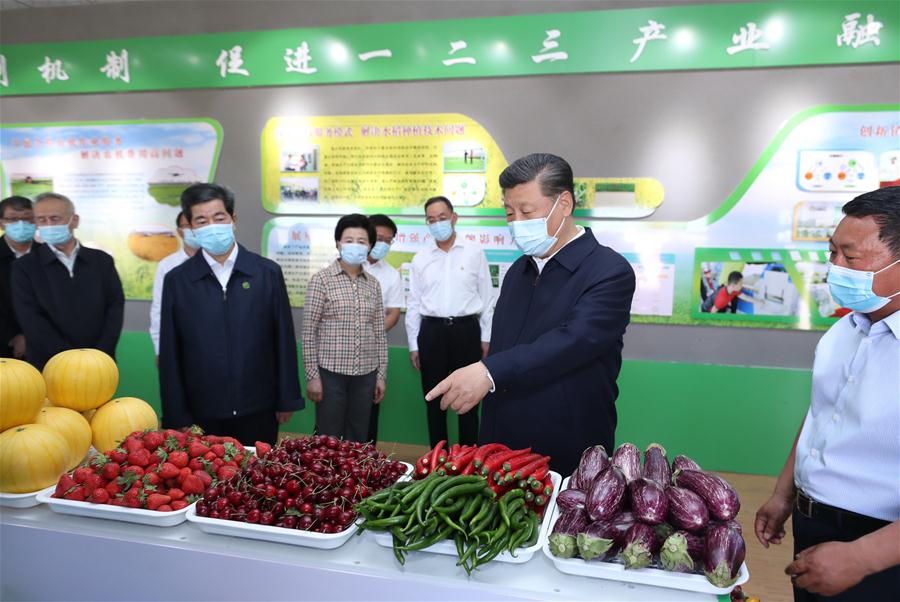 CHINA-NINGXIA-YINCHUAN-XI JINPING-INSPECTION (CN)