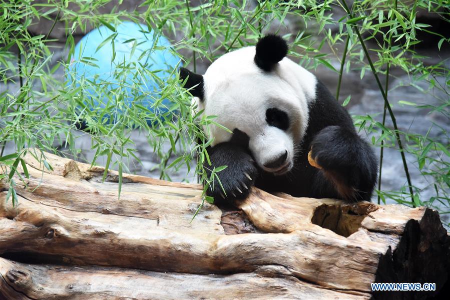 XINHUA PHOTOS OF THE DAY