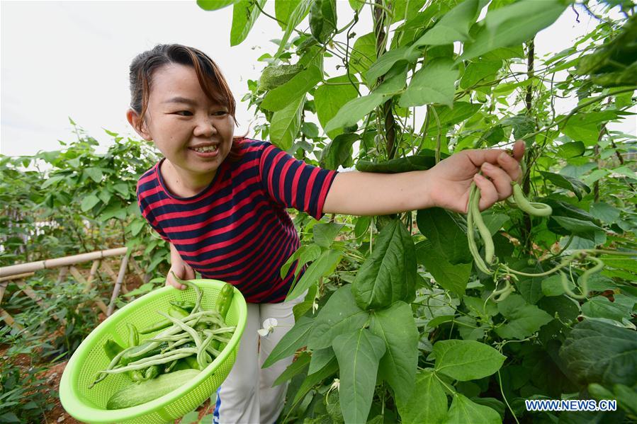  (POVERTY RELIEF ALBUM) CHINA-GUIZHOU-SONGTAO-RELOCATION-LIFE (CN)