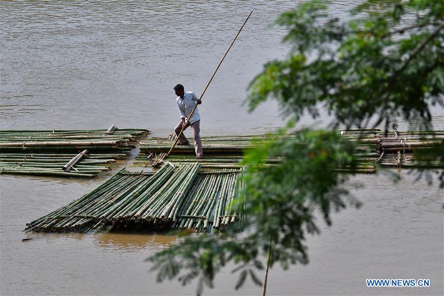 INDIA-AGARTALA-BAMBOO POLES