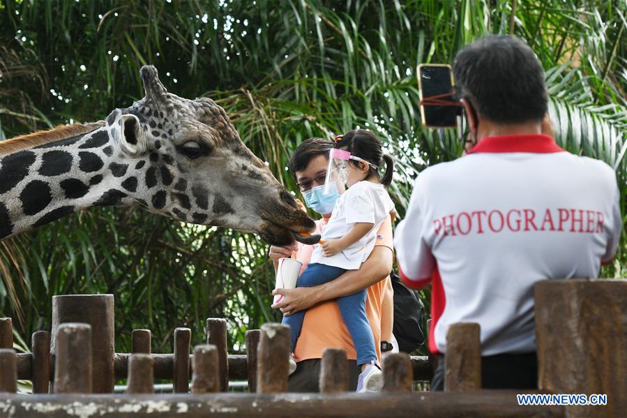 SINGAPORE-COVID-19-ZOO-REOPENING