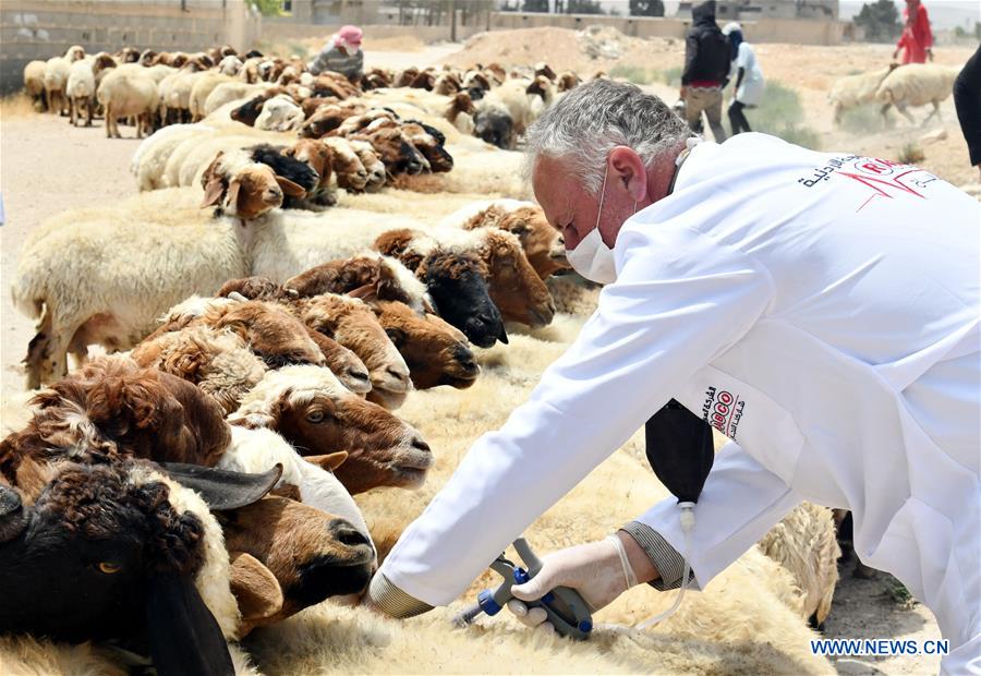 SYRIA-DAMASCUS-LIVESTOCK-VACCINATION