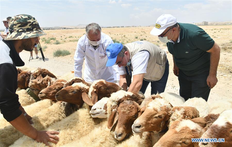 SYRIA-DAMASCUS-LIVESTOCK-VACCINATION