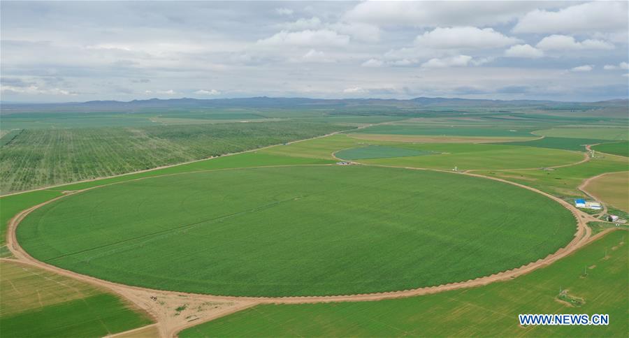 CHINA-HEBEI-ZHANGJIAKOU-AGRICULTURE (CN)