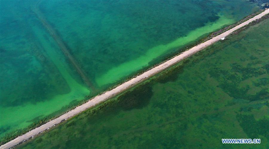 CHINA-QINGHAI-LAKE-SCENERY (CN)