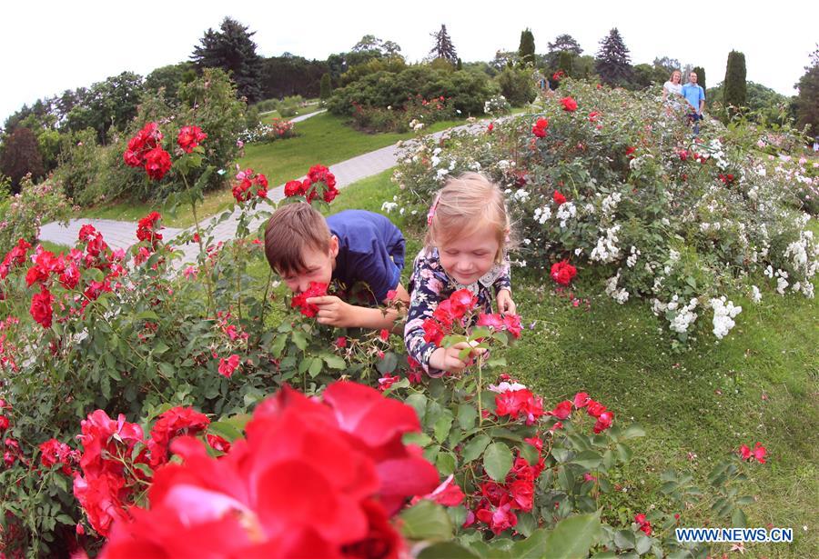 BELARUS-MINSK-FLOWERS