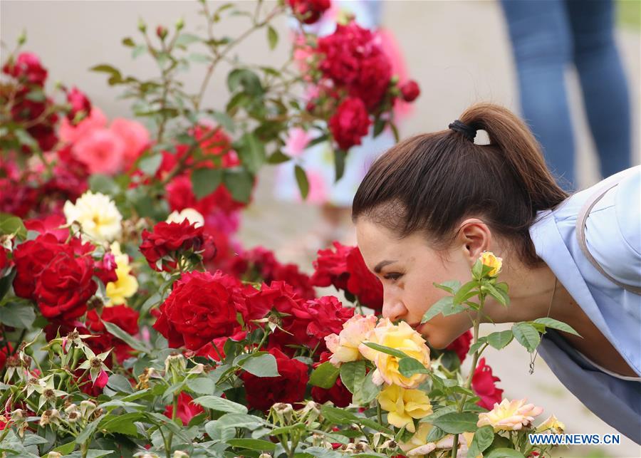 BELARUS-MINSK-FLOWERS